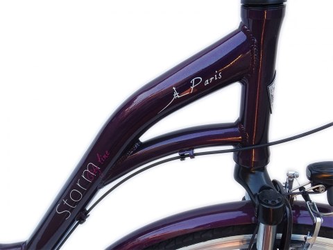 ROWER STORM PARIS ALU 28/3 NEXUS DYNAMO W PIAŚCIE ROWER STORM PARIS ALU 28/3 NEXUS DYNAMO W PIAŚCIE
