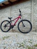 ROWER 29 STORM SHARK GÓRSKI MTB ALUMINIOWY 17'' BORDOWY WERSJA LIMITOWANA