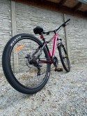 ROWER 29 STORM SHARK GÓRSKI MTB ALUMINIOWY 17'' BORDOWY WERSJA LIMITOWANA